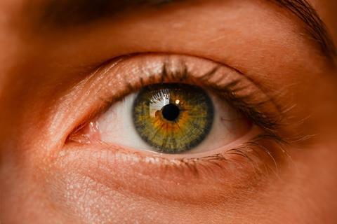 eye-2681783_1920