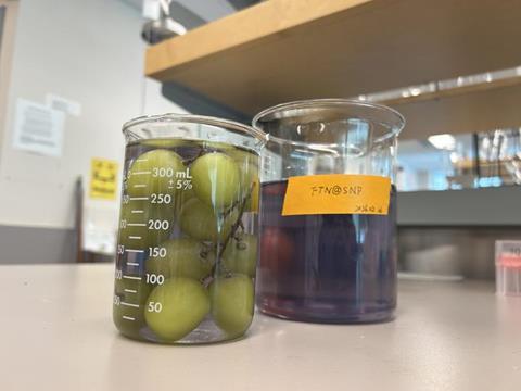 Low-Res_UBC wash with grapes 2