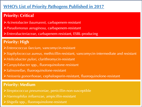 WHO Priority Pathogens 2017_updated