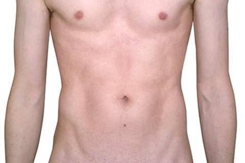 Male_chest_abdomen_anatomy