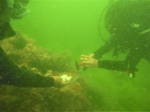 Low-Res_22 Aug Dive 26