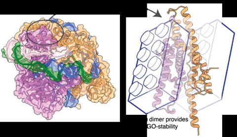 Low-Res_LEGO-stability