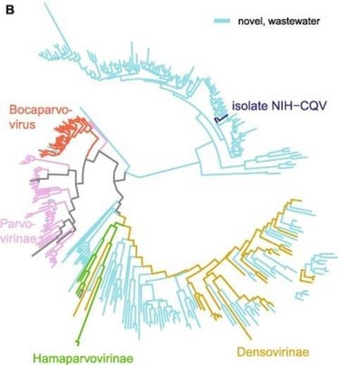 Low-Res_Figure5B