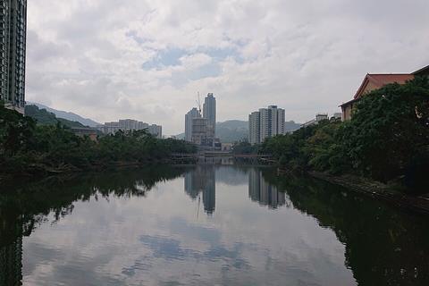 Shing_Mun_River_near_Hong_Kong_Heritage_Museum_towards_South