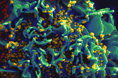 national-institute-of-allergy-and-infectious-diseases-izdPjeTiFL0-unsplash (1)
