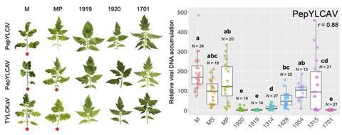 Low-Res_KINDK_43_3_KINDK_43_2_Press_Release_Image