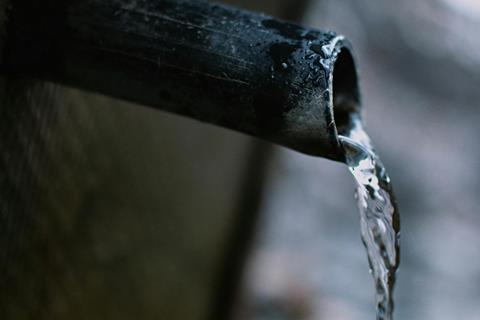 pexels-darya-grey_owl-132130036-11370711