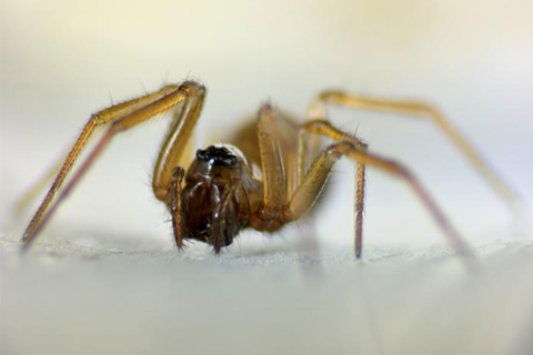 Low-Res_7