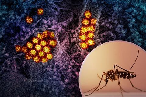 Aedes_Mosquito_and_Dengue_Virus_Particles