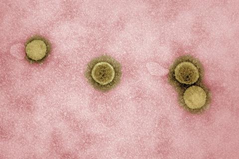 Novel_Coronavirus_SARS-CoV-2_-_53827311942