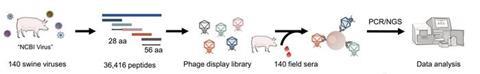 Low-Res_图片31