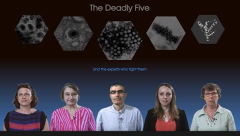 Low-Res_Deadly5lineup
