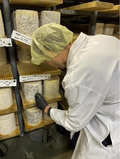 CHEESE2