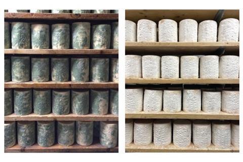Low-Res_Photos of cheese wheels in 2016 on left and in 2022 on right