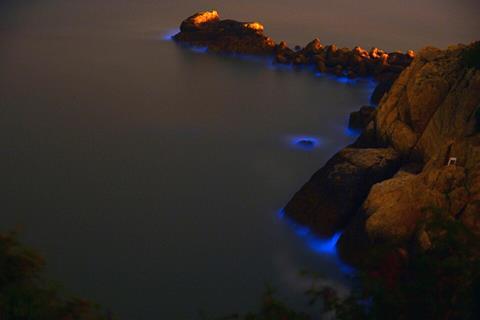 Blue_Tears_in_the_Matsu_Islands