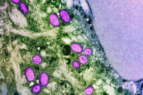 national-institute-of-allergy-and-infectious-diseases-SZjvceEDI9M-unsplash (1)