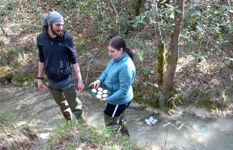 Low-Res_Diana Rojo_dest