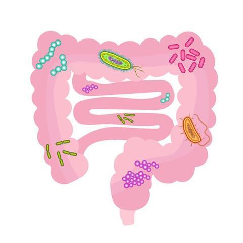 Low-Res_CHIBJ_193_4_CHIBJ_193_3_Press_Release_Image__1_