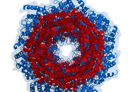 Proteasome