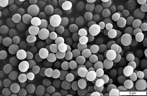 Staphylococcus_aureus_SEM