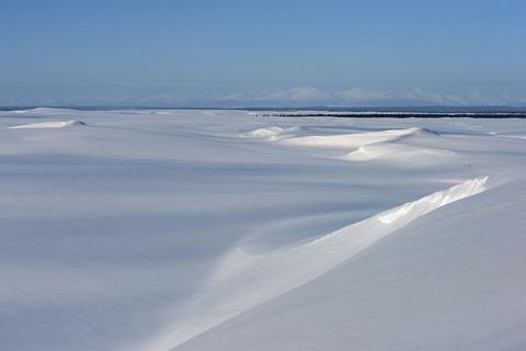 Low-Res_Dunes march, before n wind DSC_7591