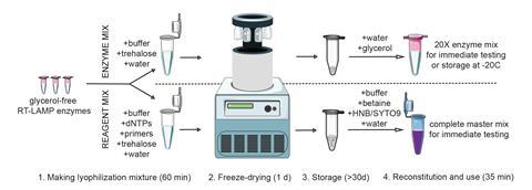 Matl et al