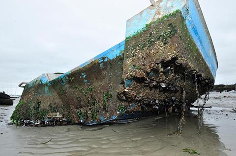 Biofouling_sur_une_embarcation_côtière_(Ifremer_00555-66701_-_43691)