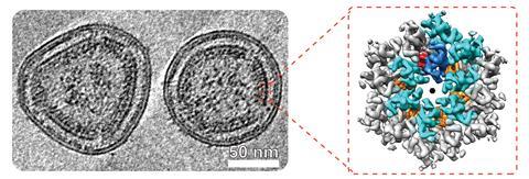 Figure1_© Nature Structural & Molecular Biology_Obr et al.