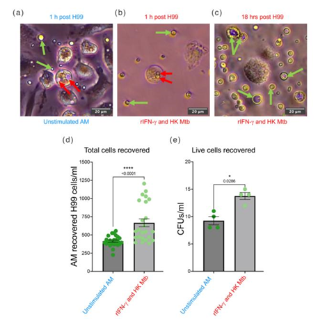 Low-Res_Screenshot 2026-02-18 122835