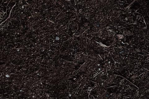 pexels-araf-29555030