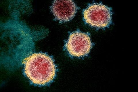 Novel_Coronavirus_SARS-CoV-2 (1)