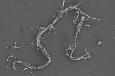 Microplastico_degradado_tipo_fibra