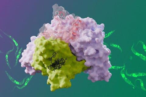 Structure of <i>Trypanosoma brucei</i> nuclear cap-binding complex