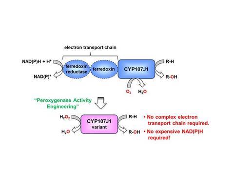 Low-Res_TUSCE_493_7_TUSCE_493_5_Press_release_Figure_1