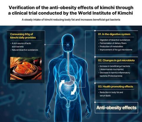 Diagrammatic representation of the results of the clinical trial on the anti-obesity effects of kimchi