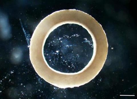 Low-Res_sciadv.adu9962-f2