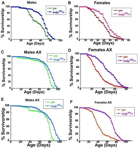 Low-Res_Figure1_Aging