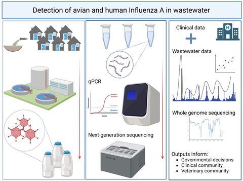 Wastewater IAV Screening