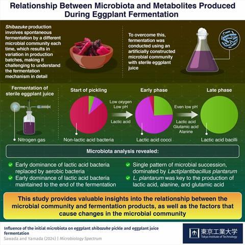 Low-Res_Infographic_24_July_2024 (1)