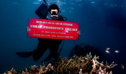 Low-Res_Raquel Peixoto is pictured at the Coral Probiotics Village in the Red Sea CREDIT Morgan Bennett-Smith