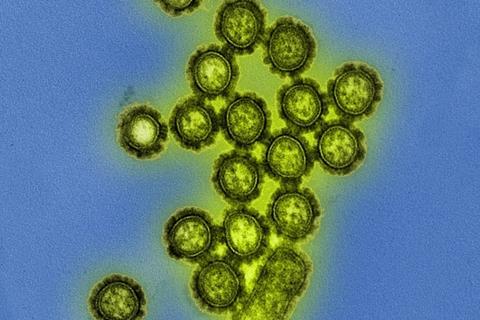 Low-Res_flu particles.jpg
