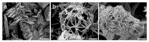 Formation of lead or uranium phosphate minerals