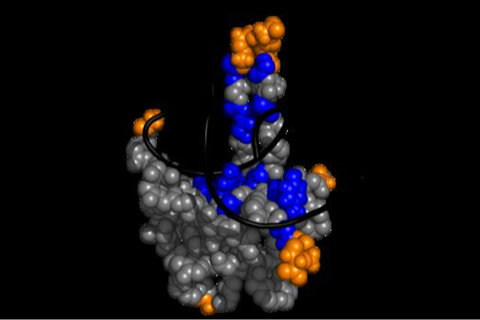 Low-Res_PM_08_Corona_Viruspackung_NTD-RNA_v2