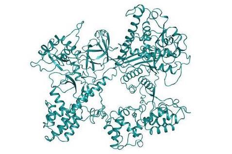 New CRISPR-Cas system