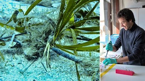 Low-Res_Transplantation Herbiers A.Boulenger (1)
