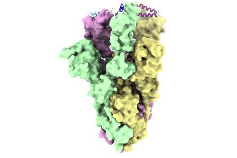 Cryo-EM structures of CeSPIACE-spike complex