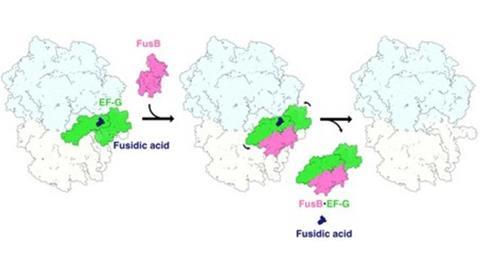 Low-Res_map_fusidic_acid_resistance