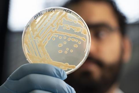 Low-Res_otzi_yeasts_02