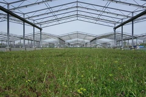 Test plot with sustainable grassland use in the GCEF field experiment overseen by the Helmholtz Centre for Environmental Research (UFZ) in Bad Lauchstädt.