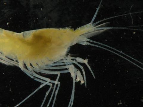 Low-Res_a55021be-1e1a-4589-ba09-20220f6ad3fb